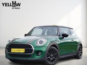 MINI Cooper Pepper / Led Headlights