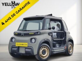 Citroen Ami BUGGY