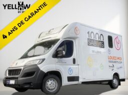 Peugeot Boxer Theault / Transport chevaux /