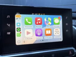 Citroen C4 Cactus Feel / GPS / Caméra complet