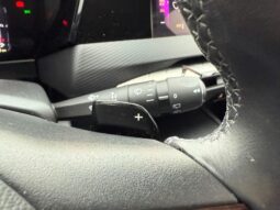DS Automobiles DS 4 Bastille / EAT8 / Navi complet