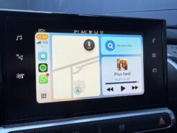 Citroen C4 Cactus Feel / GPS / Caméra complet