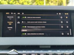 DS Automobiles DS 4 Rivoli / EAT8 / Cuir complet