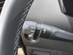 DS Automobiles DS 4 Rivoli / EAT8 / Cuir complet