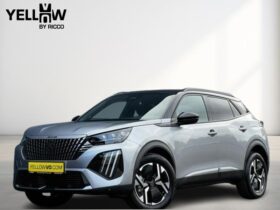 Peugeot 2008 GT / MHEV / E-DSC6