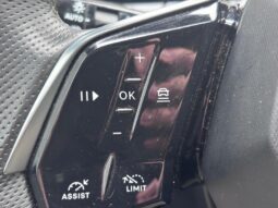 Peugeot 3008 GT / Hybrid / E-DSC6 complet