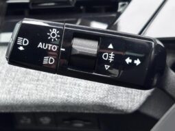 Peugeot 3008 325 Dual Motor / Launch Edition complet