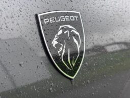 Peugeot 3008 GT / Hybrid / E-DSC6 complet