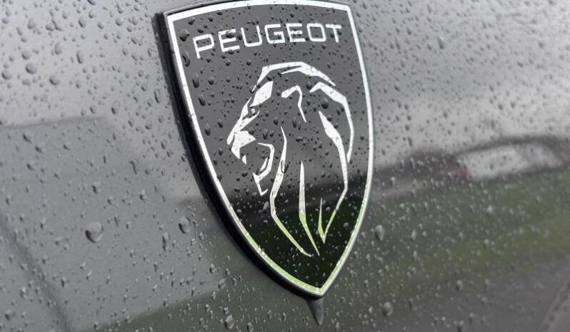 Peugeot 3008 GT / Hybrid / E-DSC6 complet