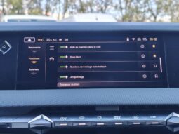 DS Automobiles DS 4 Rivoli / EAT8 / Cuir complet