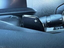 Peugeot Expert E-EXPERT XL complet