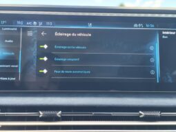 DS Automobiles N°8 LONG RANGE / JULES VERNE complet