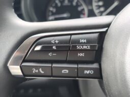 Mazda CX-30 Nagisa / 2.5i SkyActiv-G MHEV complet