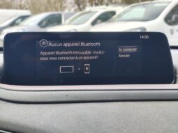 Mazda CX-30 Nagisa / 2.5i SkyActiv-G MHEV complet