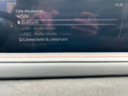 Mazda CX-30 E Skyactiv G / Nagisa complet