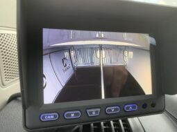 Peugeot Boxer Theault / Transport chevaux / complet