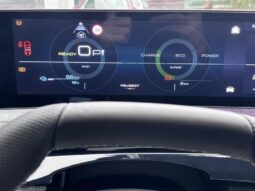 Peugeot 3008 325 Dual Motor / Launch Edition complet