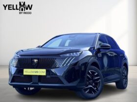 Peugeot 3008 GT / Hybrid 145 e-DSC6