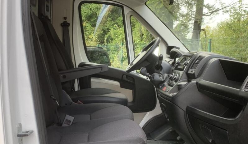 Peugeot Boxer Theault / Transport chevaux / complet