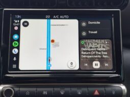 Citroen C3 Aircross Shine / 1.5 BlueHDI complet