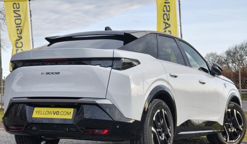 Peugeot 3008 E-3008 complet
