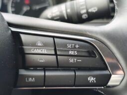 Mazda CX-30 Nagisa / 2.5i SkyActiv-G MHEV complet