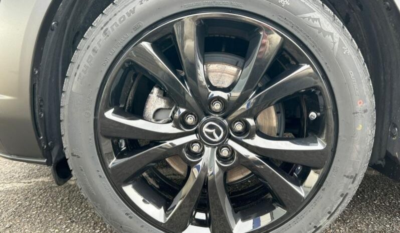 Mazda CX-30 E Skyactiv G / Nagisa complet