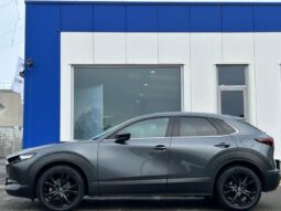 Mazda CX-30 E Skyactiv G / Nagisa complet