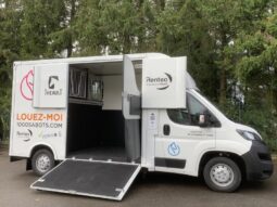 Peugeot Boxer Theault / Transport chevaux / complet