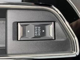 Peugeot 3008 Roadtrip / EAT8 complet