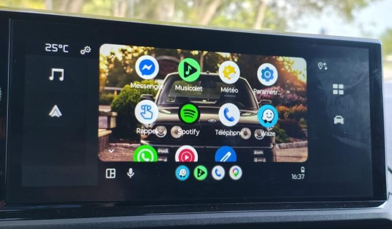 Citroen Berlingo Taille M / Light complet