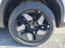 Omoda 5 PREMIUM complet