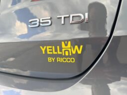 Audi Q3 Advanced / 35 TDI / S-Tonic complet