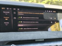 DS Automobiles DS 4 Performance Line / 1.5 BlueHDi complet