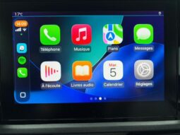 Citroen Berlingo Feel / Utilitaire 5 places! complet