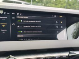 DS Automobiles N°4 HYBRID ETOILE NAPPA complet