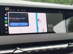 DS Automobiles N°4 HYBRID ETOILE NAPPA complet