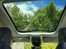 DS Automobiles N°4 PALLAS complet