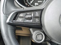 Alfa Romeo Stelvio Super / AT8 / 2.2 JTD complet