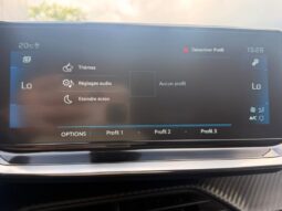 Peugeot 2008 GT / EAT8 / 1.5 BlueHDi / Pano complet
