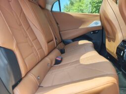 DS Automobiles N°8 ETOILE / 74KW / 230HP – DISPO 10/2026 complet
