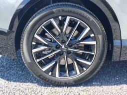 DS Automobiles N°8 ETOILE / 74KW / 230HP – DISPO 10/2026 complet