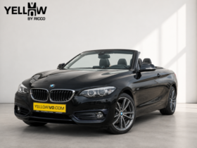 BMW Serie 2 218 iA Cabrio / Sport Line