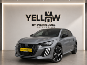 Peugeot 208 GT / Hybrid / E-DSC6