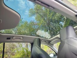 DS Automobiles N°7 ETOILE – Dispo 06/2027 complet